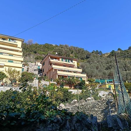 Chez Diego With Ac And Garden 蒙特罗索阿尔马雷 外观 照片