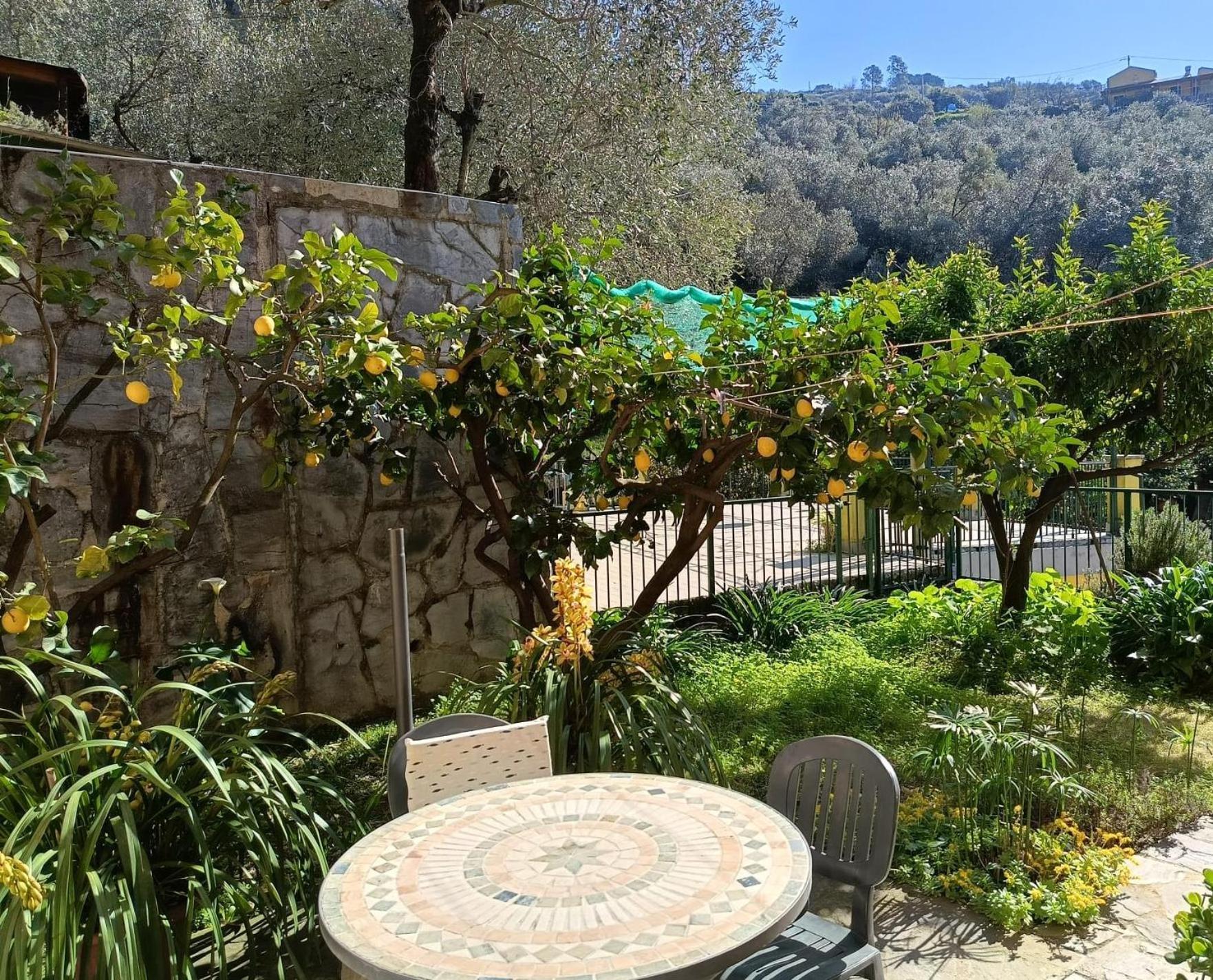 Chez Diego With Ac And Garden 蒙特罗索阿尔马雷 外观 照片