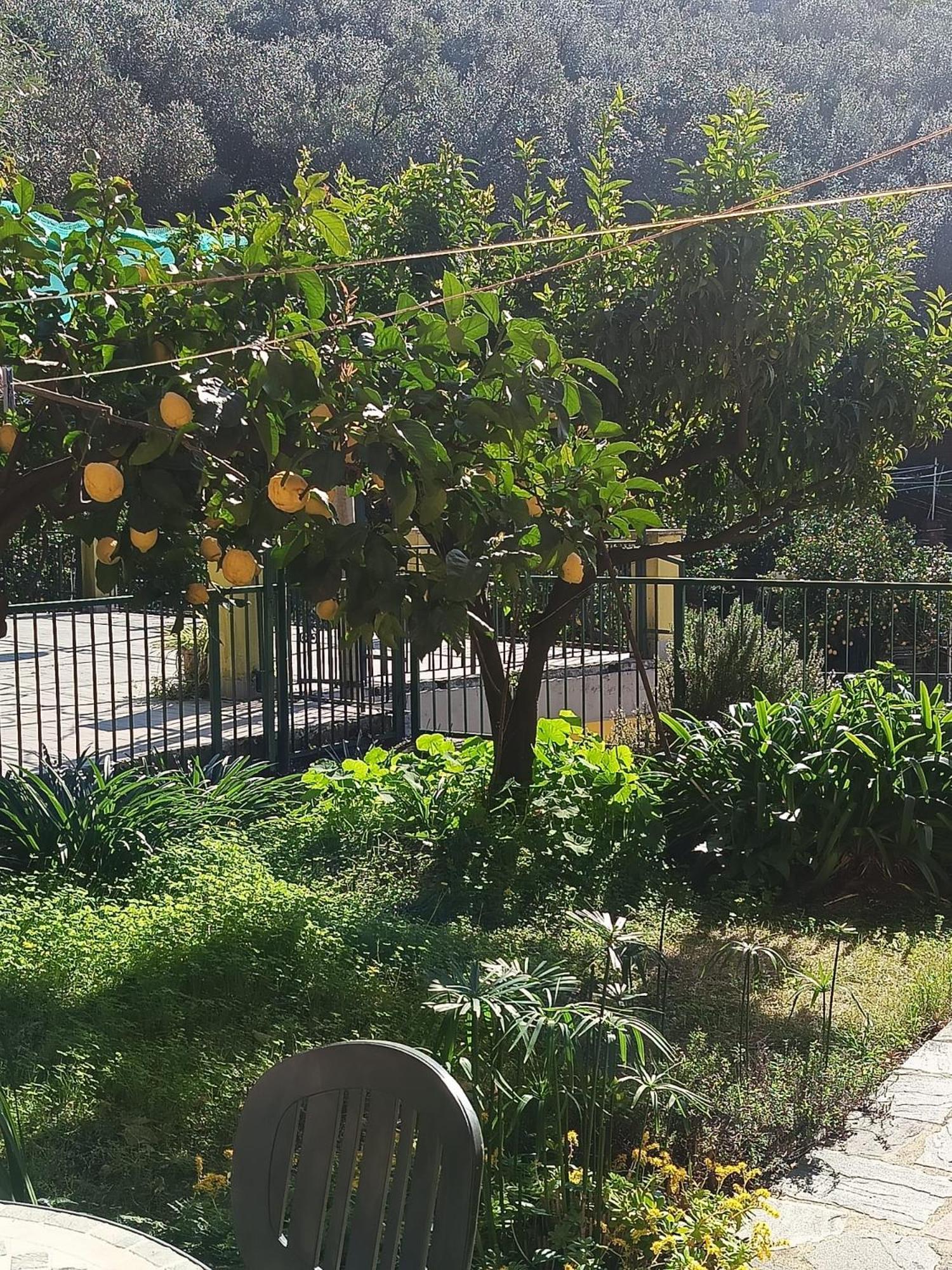 Chez Diego With Ac And Garden 蒙特罗索阿尔马雷 外观 照片